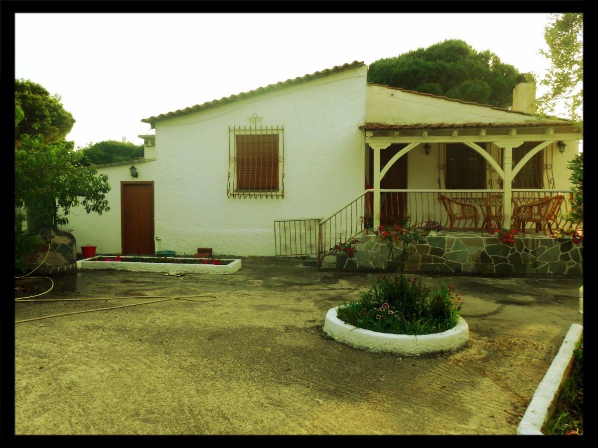 Villa Andronikis House Sykia Chalkidikis Exterior foto