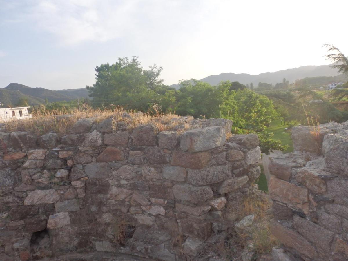 Villa Andronikis House Sykia Chalkidikis Exterior foto